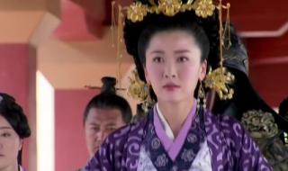 卫子夫平阳公主 卫子夫平阳公主