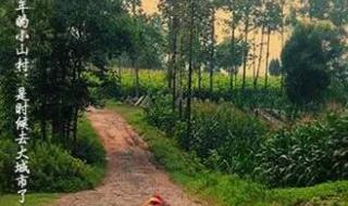 我生在一个小山村 我生在一个小山村