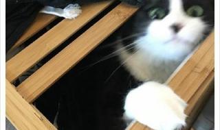 我太乖歌词 我太乖歌词