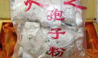 灵芝破壁孢子粉价格 灵芝破壁孢子粉价格