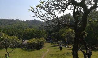 大夫山森林公园门票 大夫山森林公园门票
