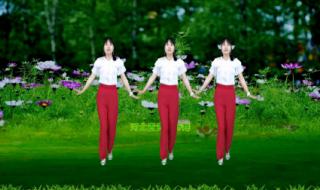 你是我的天籁广场舞