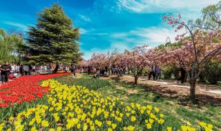 石家庄植物园门票团购 石家庄植物园门票团购