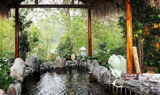 团购温泉票 团购温泉票