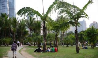 深圳莲花山公园好玩吗 深圳莲花山公园好玩吗