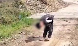 2023清明上坟最佳日期 2023清明上坟最佳日期