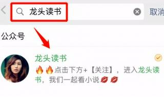 上门女婿叶辰完整版 上门女婿叶辰完整版