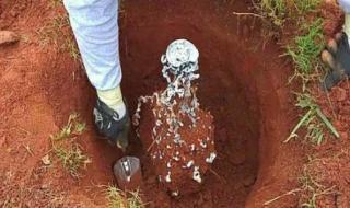 家里有蚂蚁窝怎么办