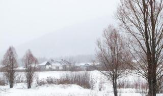 小雪节气的诗 小雪节气的诗