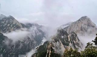 众鸟高飞尽的下一句 众鸟高飞尽的下一句