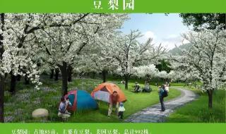 2023全运会在哪里举行 2023全运会在哪里举行